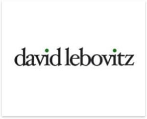 david lebovits blog logo