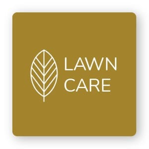 Minimalist lawn care logo